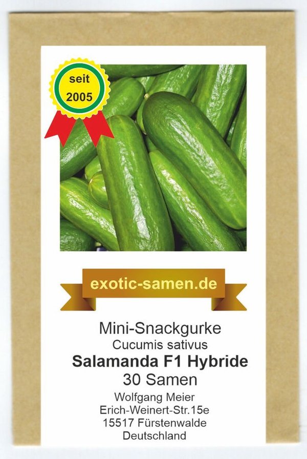 Mini-Snackgurke – resistent - Salamanda F1 – 12 cm lang – auch im Kübel – 30 Samen