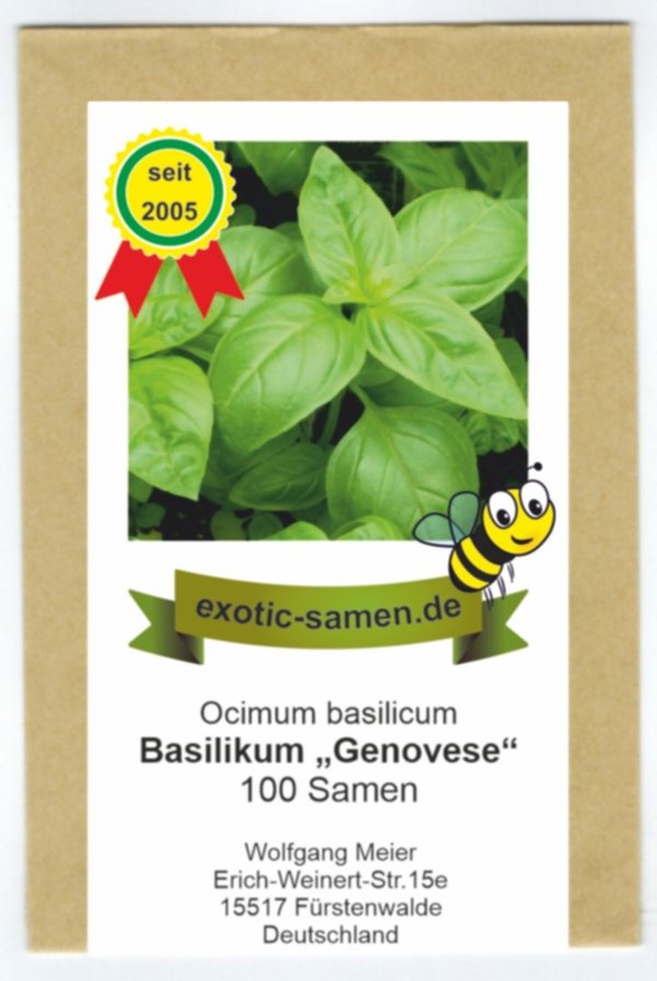 Ocimum basilicum - Basilikum "Genovese" original - 100+ Samen