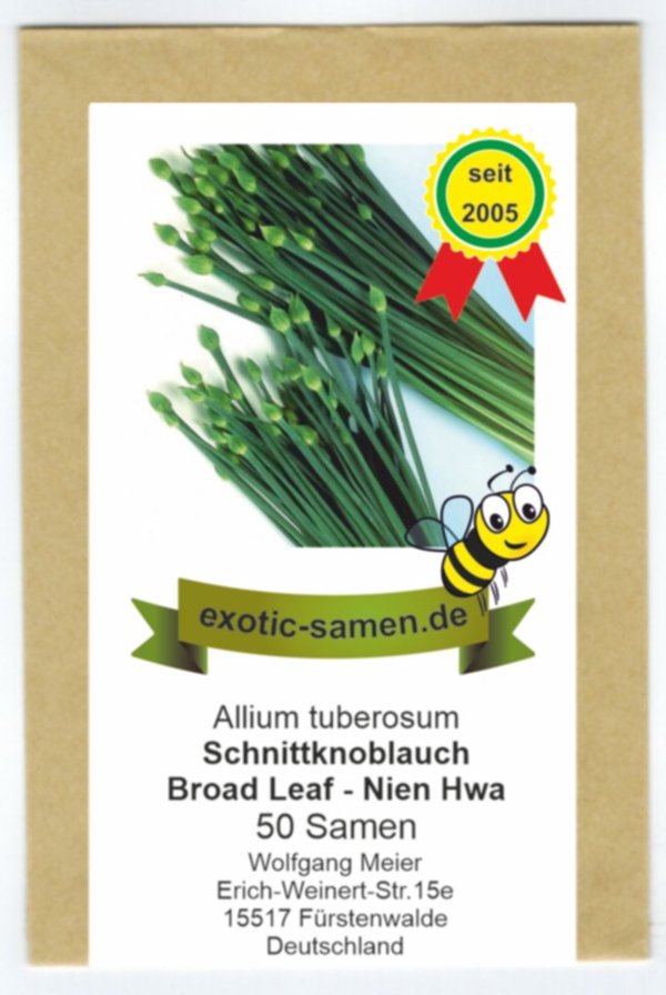 Schnittknoblauch - winterhart - Ky Broad Leaf - Nien Hwa - 50 Samen