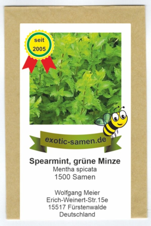 Grüne Minze - Spearmint - Mentha spicata - 1500 Samen