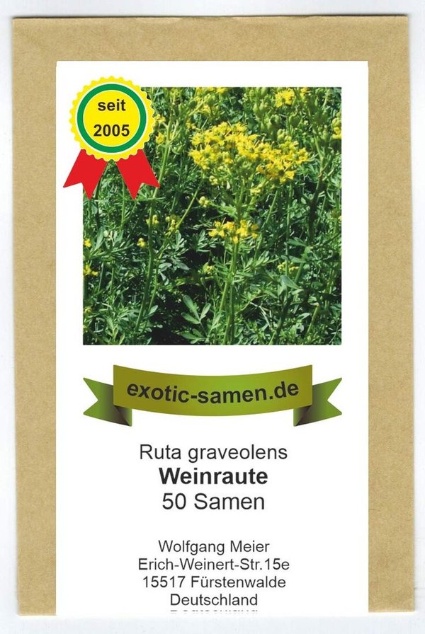 Weinraute - Gartenraute - Ruta graveolens - 50 Samen