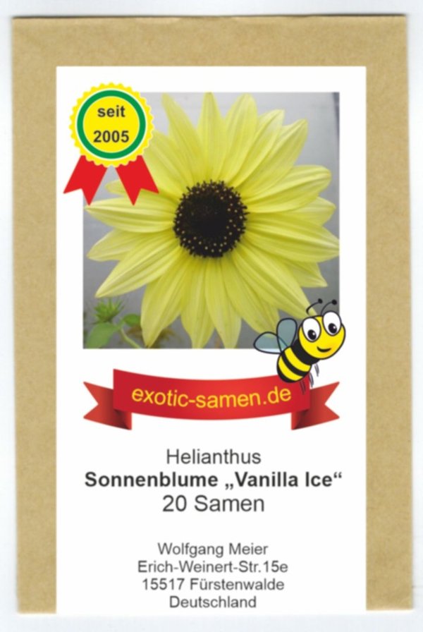 Sonnenblume - Helianthus annuus - Bienenweide - Vanilla Ice - 20 Samen
