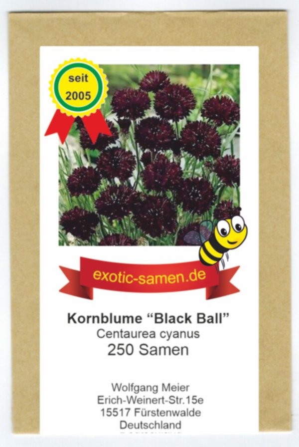 Centaurea cyanus - Bienenweide - Schwarze Kornblume "Black Ball" - 250 Samen