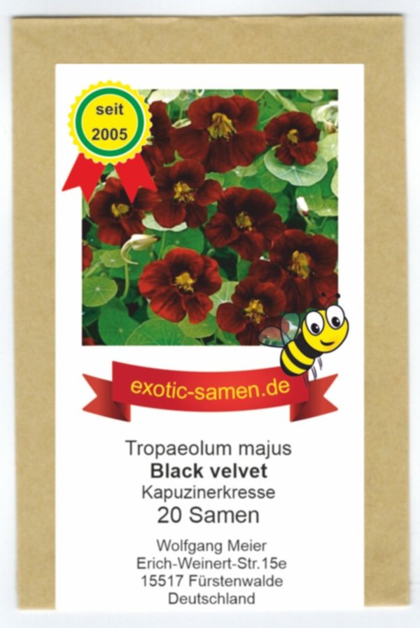 Kapuzinerkresse - Bienenweide - tief rot - kompakt - nicht rankend – Black Velvet - 20 Samen