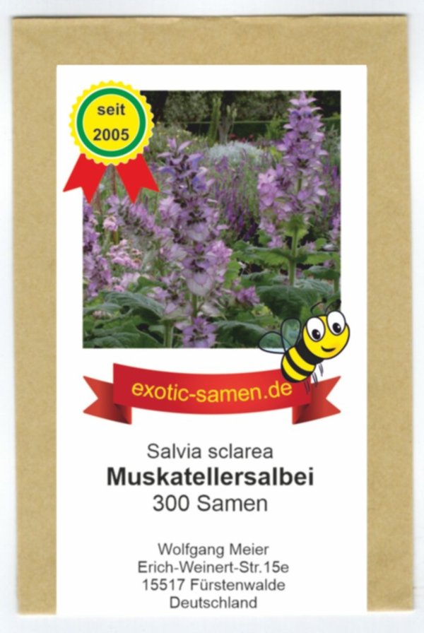Bienenweide - Muskatellersalbei - Salvia sclarea - 300 Samen