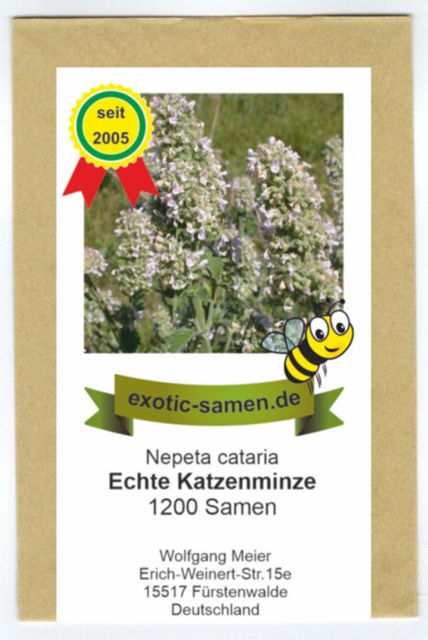 Echte Katzenminze (Citralfrei - nur das mögen Katzen) - Nepeta cataria - Zier-/Arzneipflanze - 1.200
