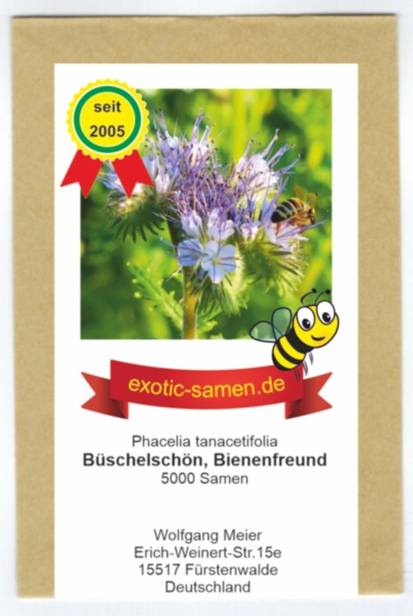 Büschelschön - Bienenfreund - Bienenweide - Phacelia - 5000 Samen
