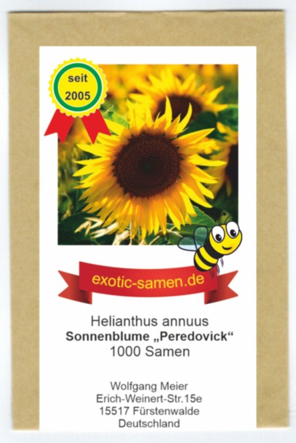 Sonnenblume - Helianthus annuus - Peredovick - bis 2 Meter - Bienenweide - 1000 Samen