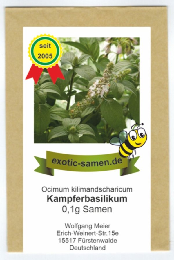 Kampferbasilikum - Ocimum kilimandscharicum - Gewürz- u. Heilfpflanze - 0,1 g