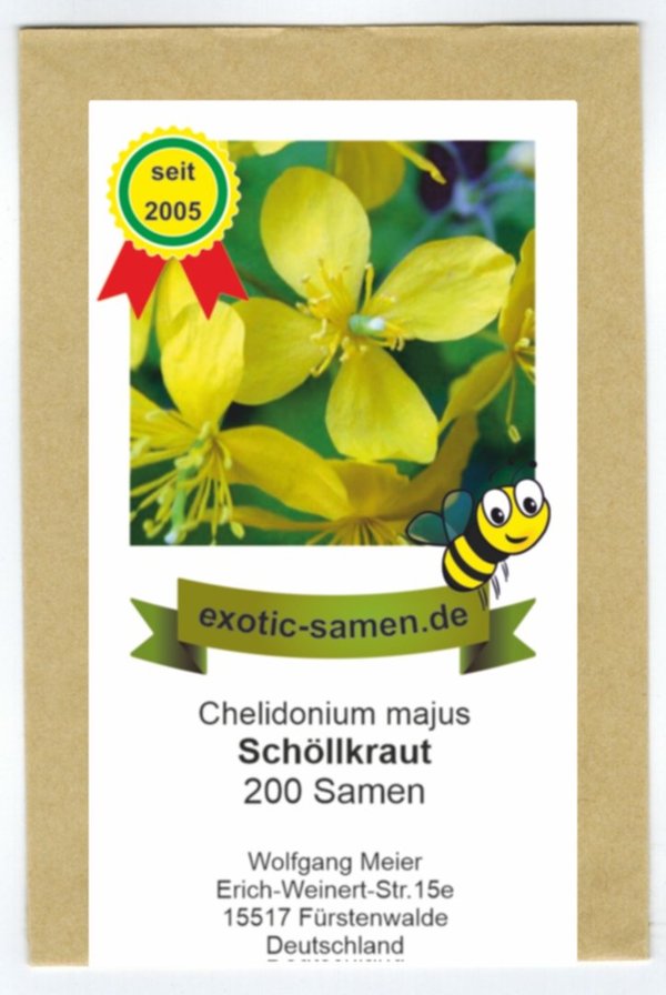 Schöllkraut - Chelidonium majus - Bienenweide - Zier- u. Arzneipflanze - giftig - 200 Samen