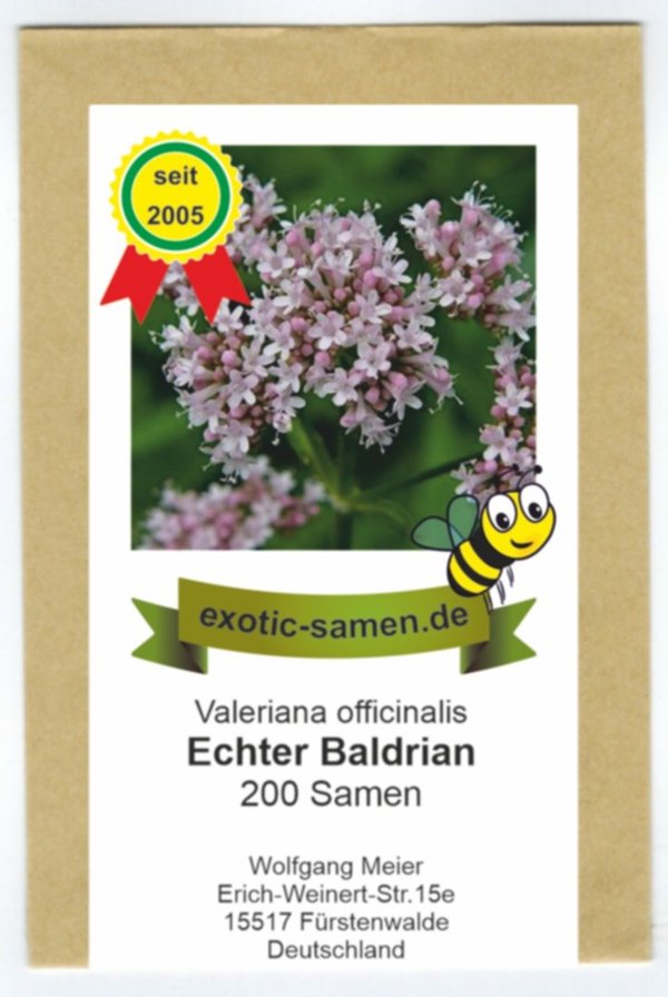 Echter Baldrian - Valeriana officinalis - Bienenweide - Zier- + Arzneipflanze - 200 Samen