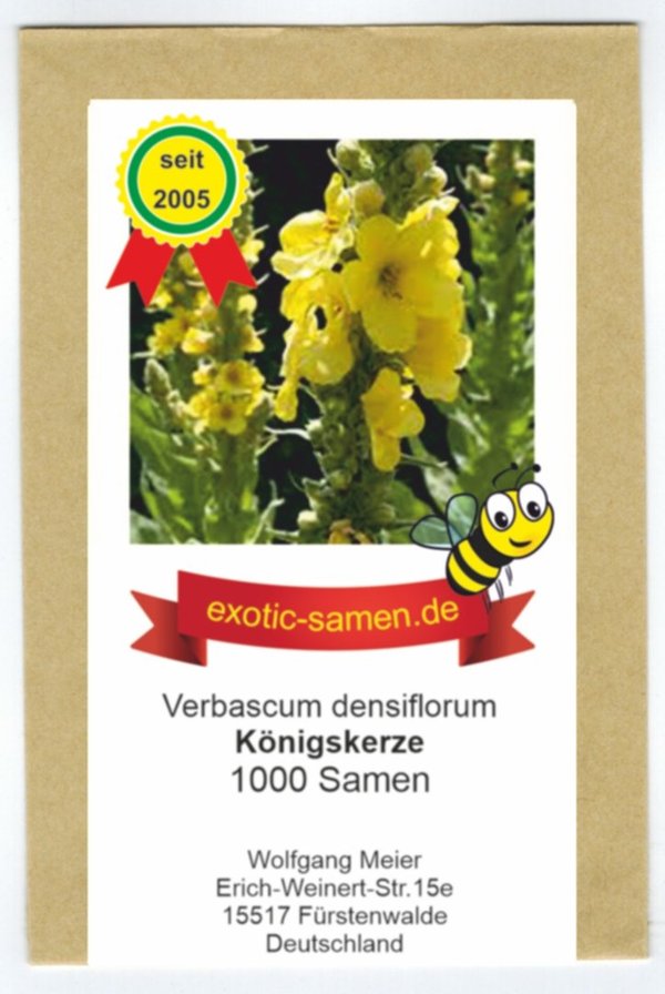 Großblütige Königskerze - Verbascum densiflorum - Arzneipflanze mit großen Blüten - 1000 Samen