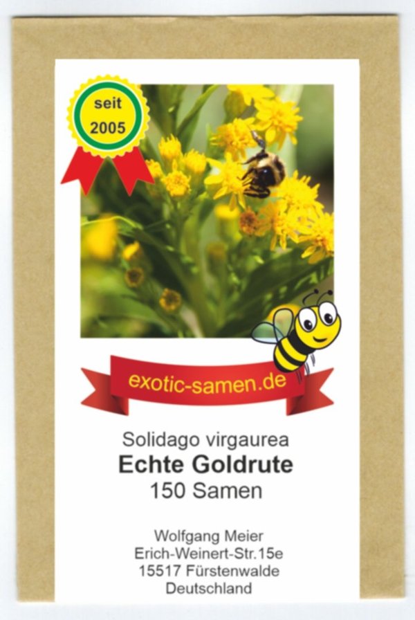 Echte Goldrute - Bienenweide - Solidago virgaurea - alte Zier- + Arzneipflanze - 150 Samen