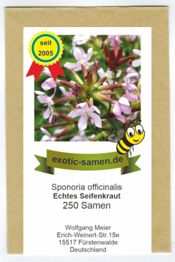 Seifenkraut - Saponaria officinalis - Bienenweide - Zier- u. Arzneipflanze - 200 Samen