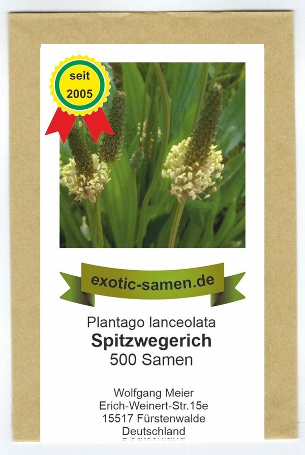 Spitzwegerich - Plantago lanceolata - Bienenweide - Arzneipflanze des Jahres 2014 - 500 Samen