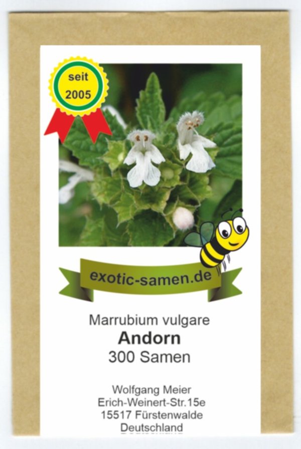 Echter Andorn - Marrubium vulgare - Arzneipflanze des Jahres 2018 - 300 Samen