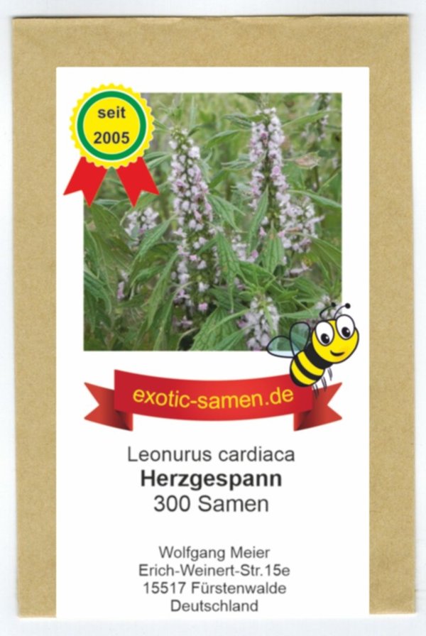 Herzgespann - Leonurus cardiaca - Zier- / Arzneipflanze - Bienenweide - 300 Samen