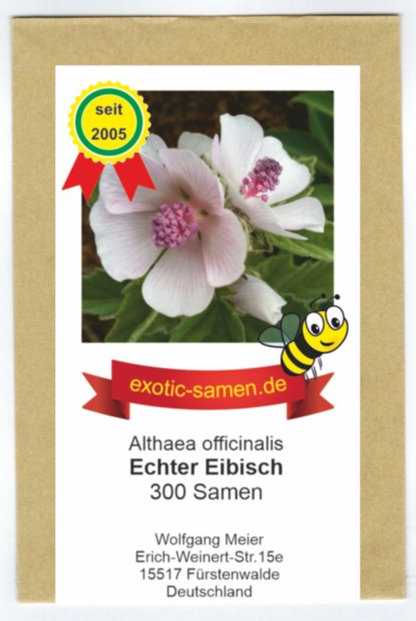 Echter Eibisch - Althaea officinalis – mehrjährig, frosthart – Gewürz- und Arzneipflanze - 300 Samen