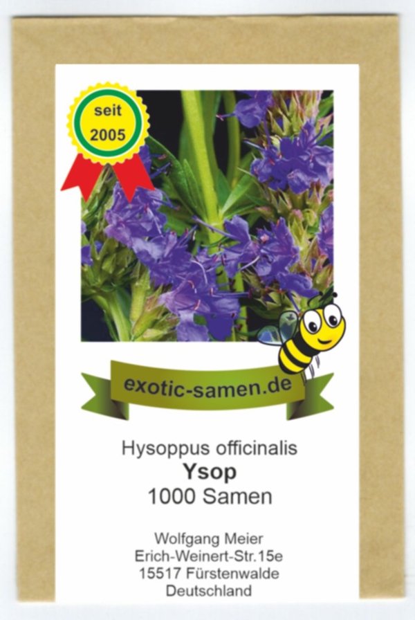 Ysop blau - mehrjährig - Bienenweide - Hysoppus officinale - 1000 Samen