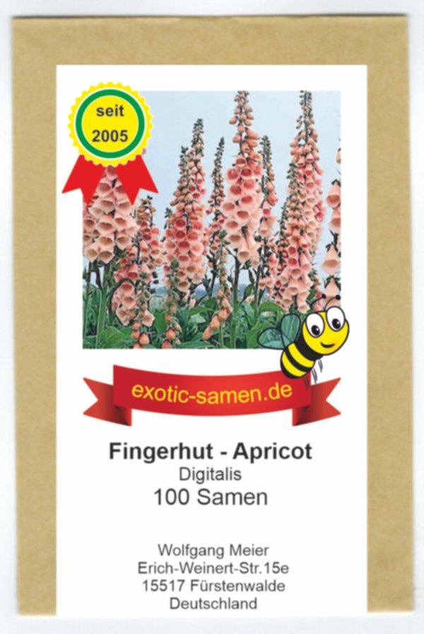 Digitalis - Fingerhut - rosa - pink - zweijährig - Bienenweide - Apricot - 100 Samen