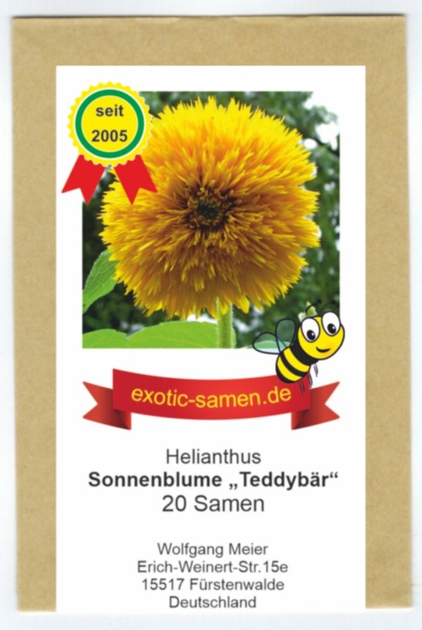 Sonnenblume - Helianthus annuus - Bienenweide - Teddybär - 20 Samen