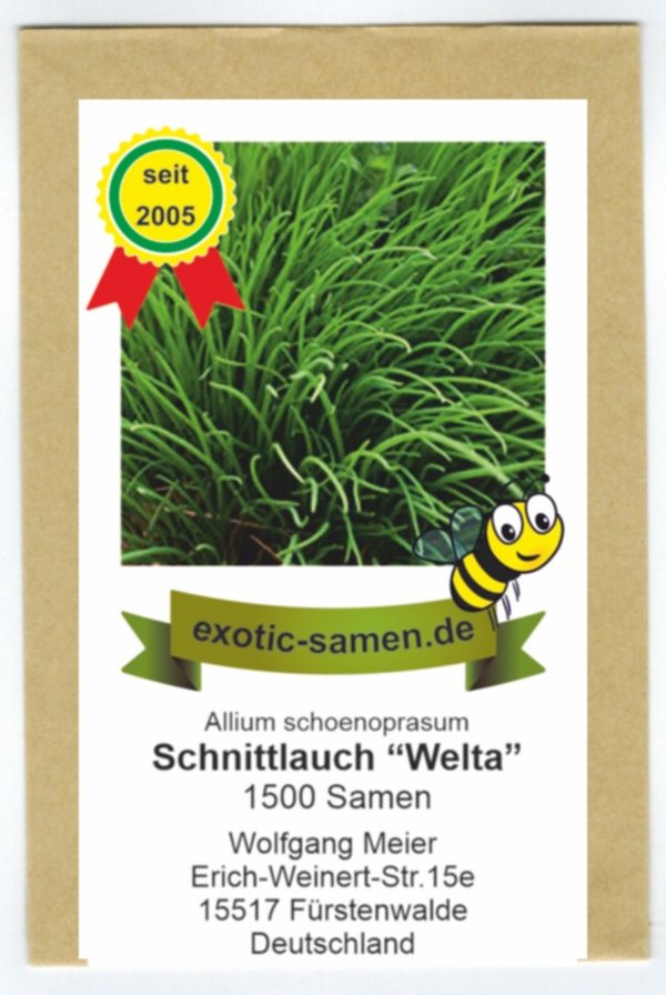 Schnittlauch - Allium schoenoprasum - ausdauernd - Welta - 1500 Samen