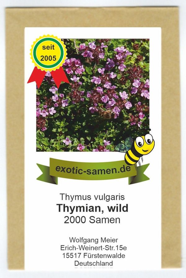 Wilder Thymian - Thymus vulgaris - 2000 Samen
