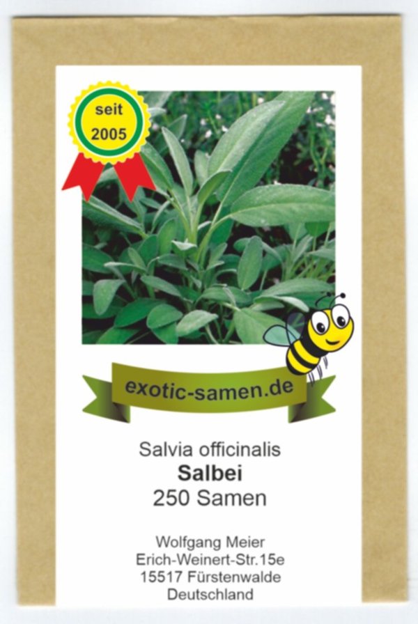 Salbei, echter Salbei - Bienenweide - Salvia officinalis - 250 Samen
