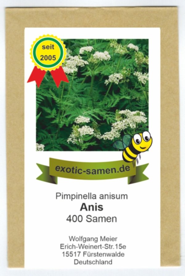Anis - Bienenweide - Kräuter - Gewürzpflanze - Pimpinella anisum - 400 Samen