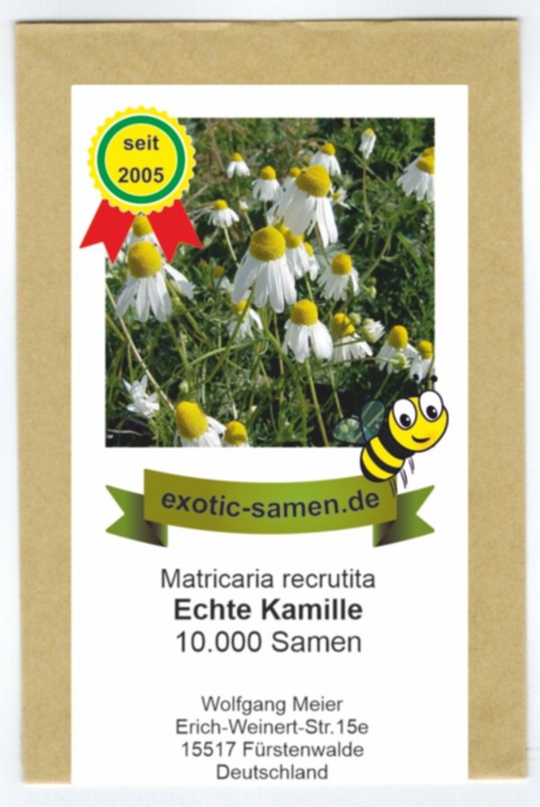 Echte Kamille - Matricaria recrutita - 10.000 Samen