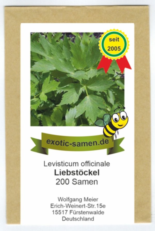Liebstöckel - Liebstock - mehrjährg - ausdauernd - Bieneneweide - Levisticum officinale - 200 Samen