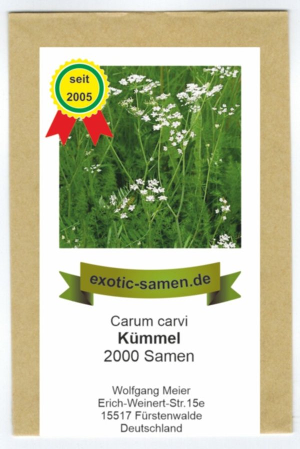 Kümmel - Carum carvi - 2000 Samen