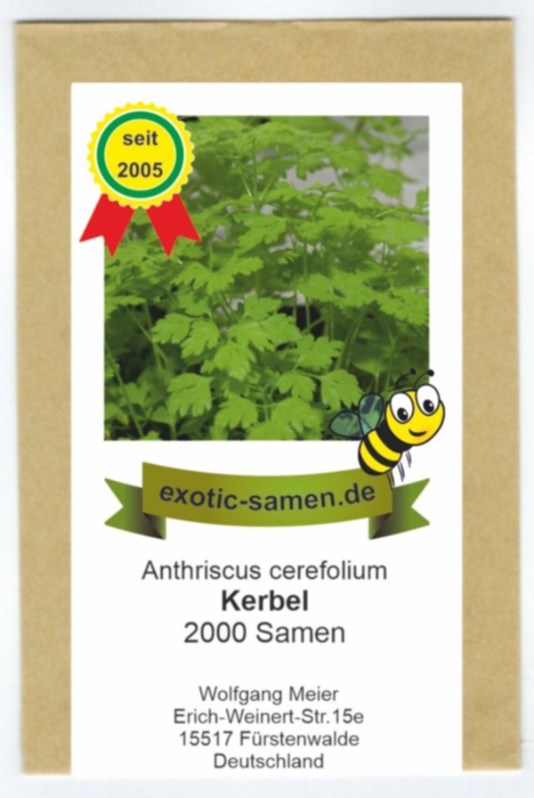 Kerbel - Bienenweide - Anthriscus cerefolium - 2000 Samen