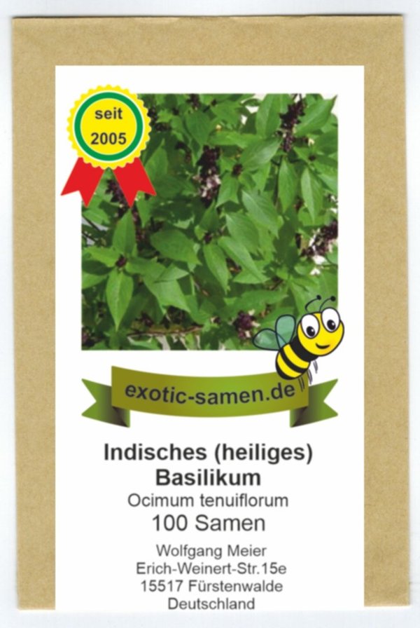 Ocimum tenuiflorum - indisches Basilikum"Tulsi" - heiliges Basilikum - 100+ Samen