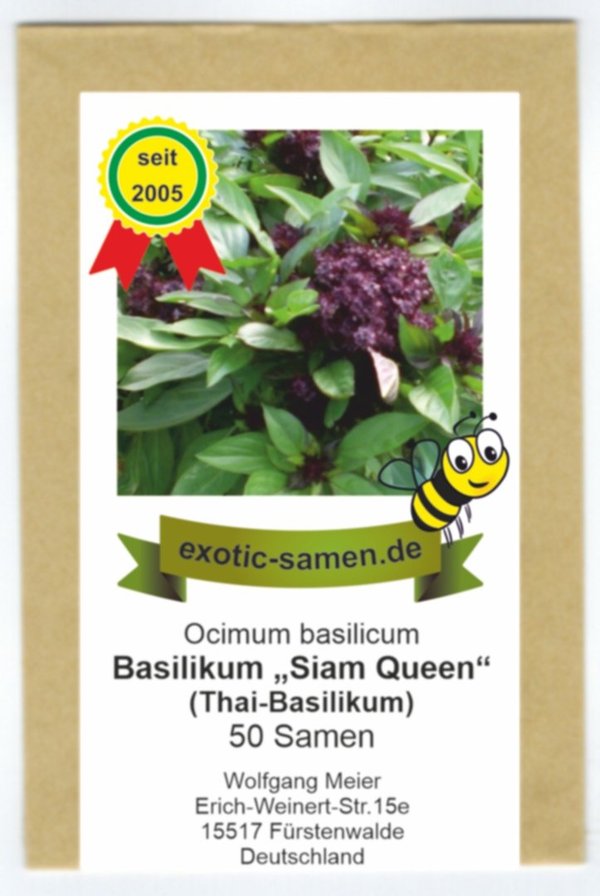 Ocimum basilicum - Thai-Basilikum"Siam-Queen" - 50 Samen