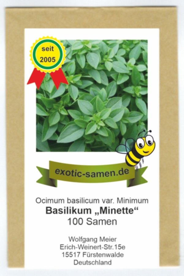 Ocimum minimum - griechisches, kleinblättriges Basilikum - 100 Samen