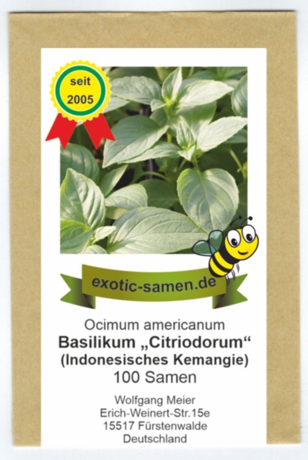 Ocimum americanum - Basilikum "Citriodorum" - indonesisches Zitronenbasilikum - Nelke - 100 Samen