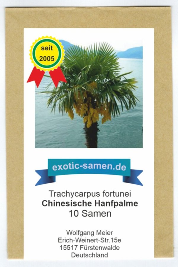 Chinesische Hanfpalme - Trachycarpus fortunei syn. chamaerops excelsa - 10 Samen