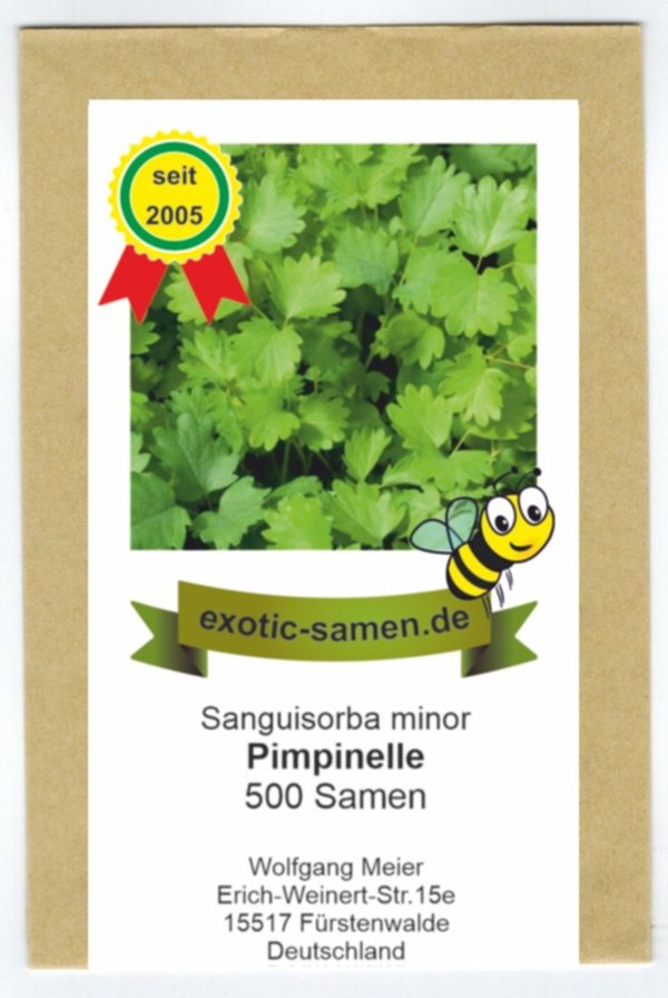 Pimpinelle, Gartenpimpinelle - Bienenweide - kleiner Wiesenknopf - Sanguisorba minor - 500 Samen