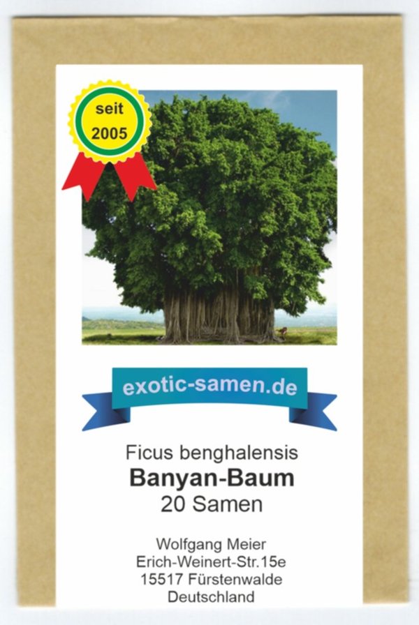 Ficus benghalensis - Banyan-Baum - Zimmerpflanze - 20 Samen