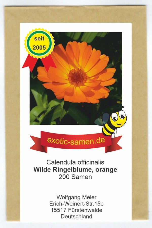 Orange Ringelblume Wildform - ungefüllt - Calendula - Bienenweide - Heilpflanze - 200 Samen
