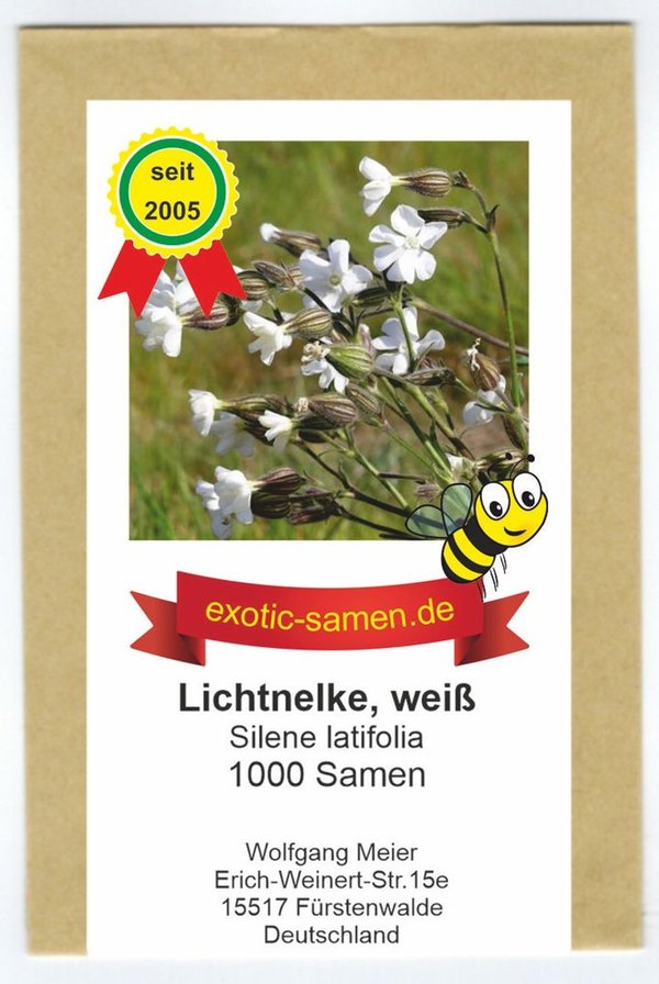 Weiße Lichtnelke – Silene latifolia – heimisch – duftend – 1000 Samen
