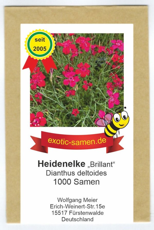 Heidenelke „Brillant“ – rot – Dianthus deltoides – trockentolerant - 1000 Samen