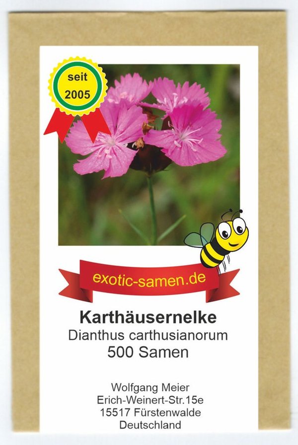 Kartäusernelke – Dianthus carthusianorum – Schmetterlingsmagnet – 500 Samen